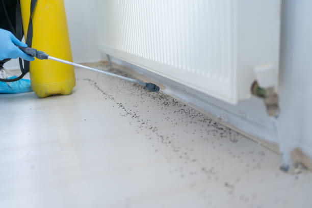 Best Local Pest Control Services  in Genoa, OH